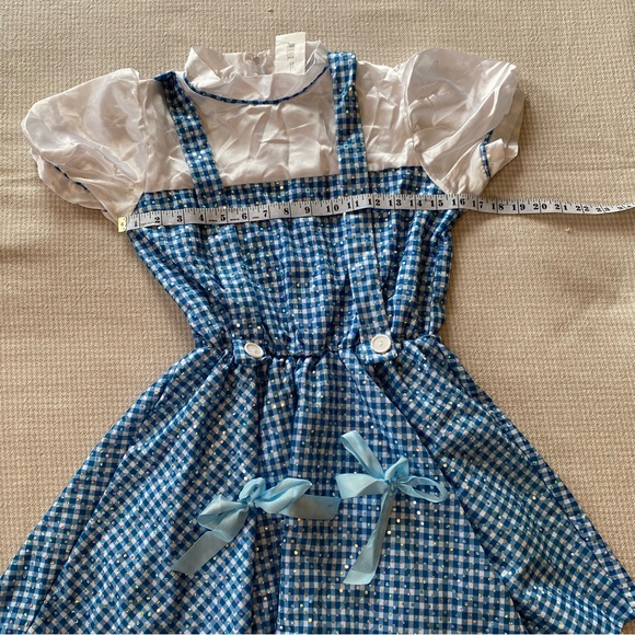 Rubie's Blue and White Checkered Kids Costume. Sparkly dress with hair bows. - Picture 3 of 6